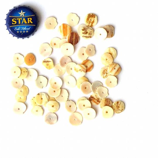 image for Snail Shell Beads