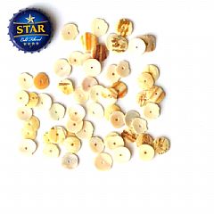 Photo for Snail Shell Beads