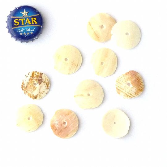 Photo for Large Snail Shell Beads