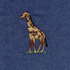 Photo for Giraffe