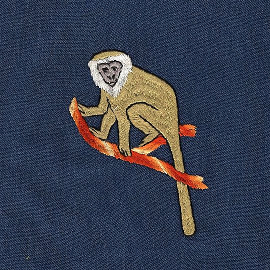 image for Monkey
