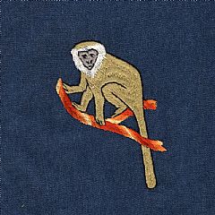 Photo for Monkey