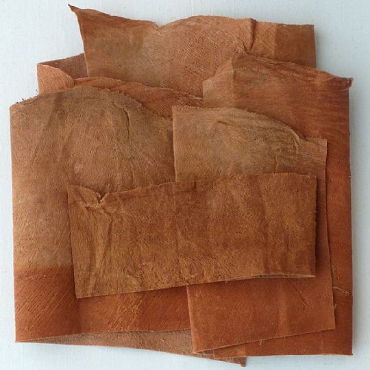 Photo for Bark Cloth Fragments