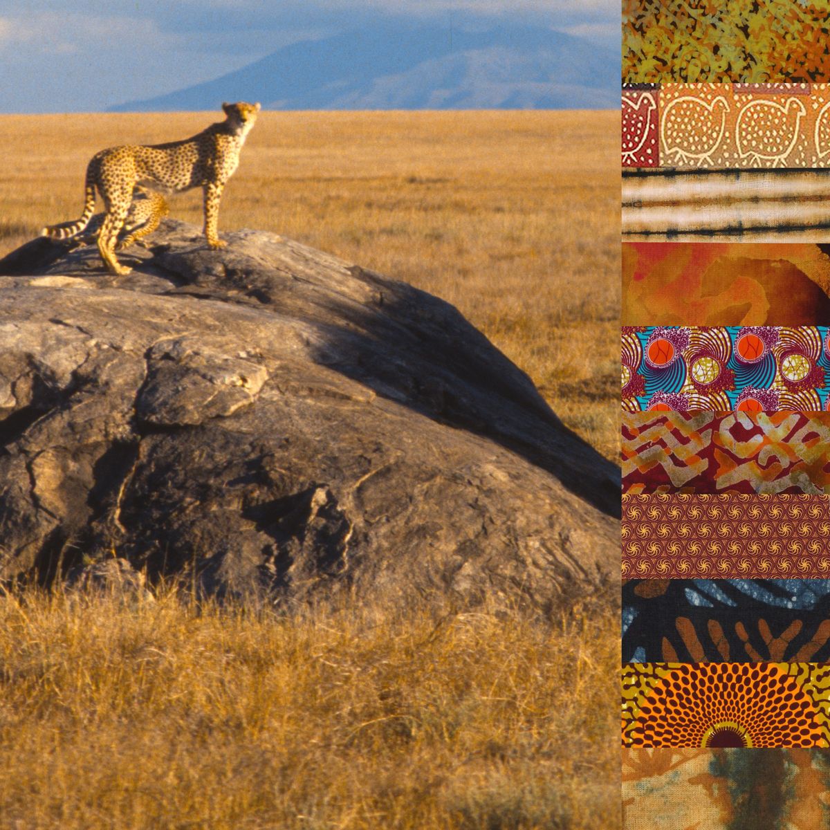 African Savanna Hand Embroidery Kit, Pre Printed Embroidery Fabric