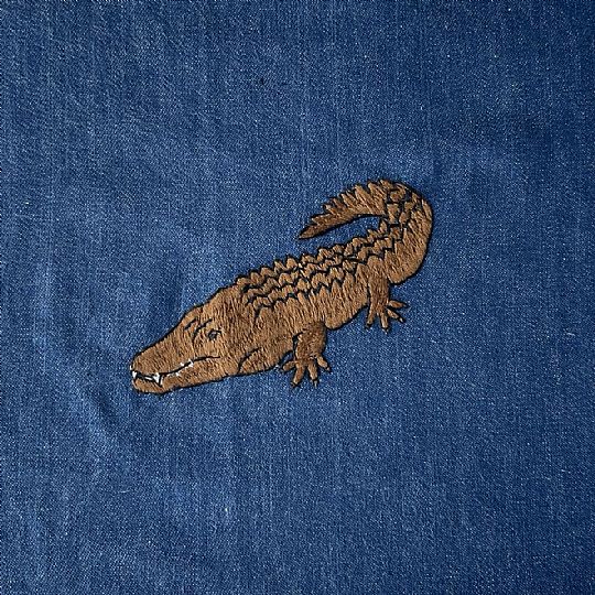 image for Crocodile