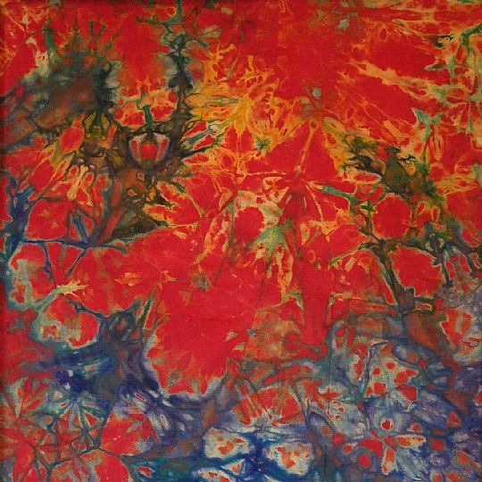 image for Neneh 242