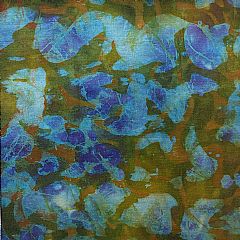 Photo for Esther 847